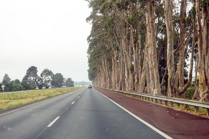 20150822_104852 RX100M4.jpg - Route 101 Eureka, CA